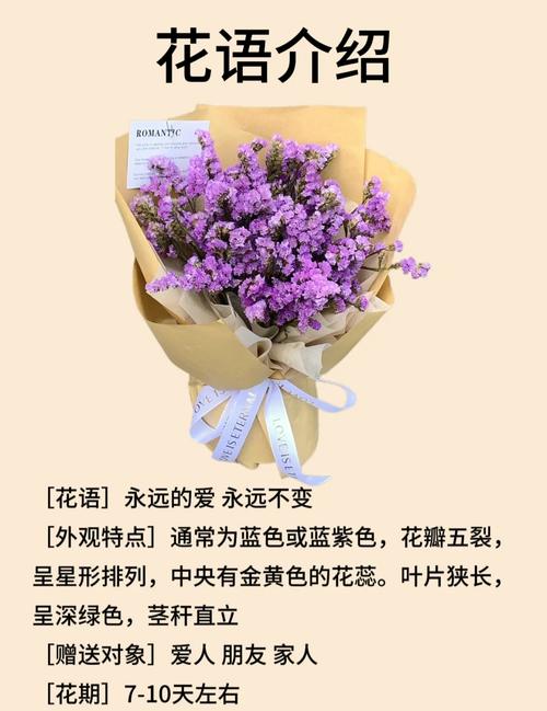 勿忘我的花语和不同颜色分别代表什么寓意？