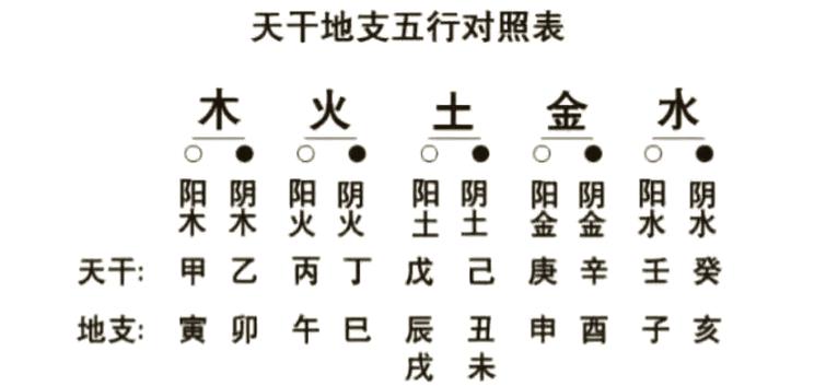 丁的五行属性是什么？