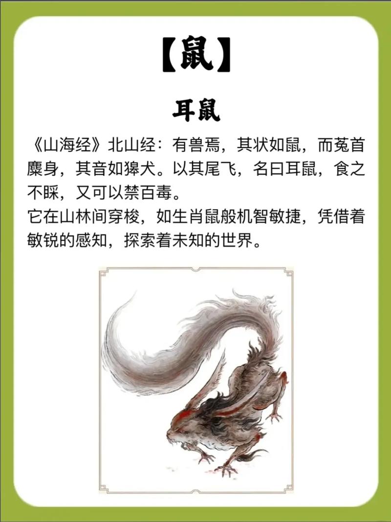 八面玲珑的动物尾巴特长，这生肖是哪位呢？