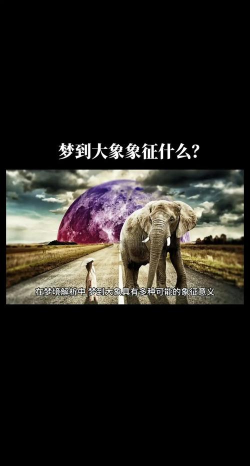 梦见大象生小象预示着什么周公解梦里说这是什么意思呢？