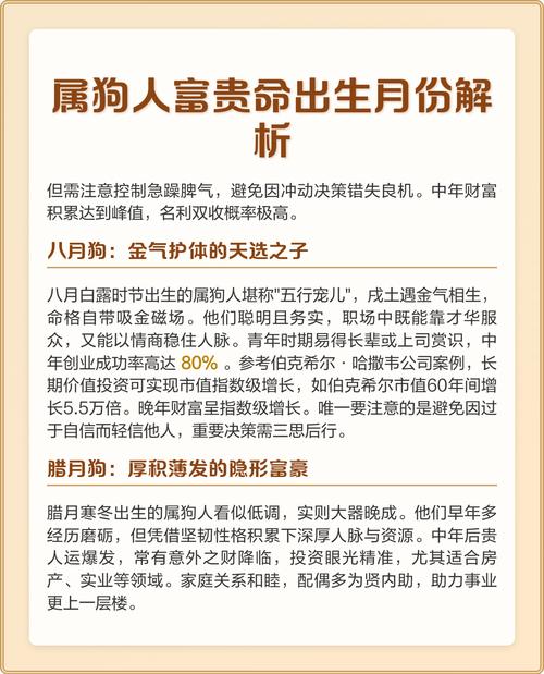2019年出生属狗的人命运如何？详细解析他们的命运特点？