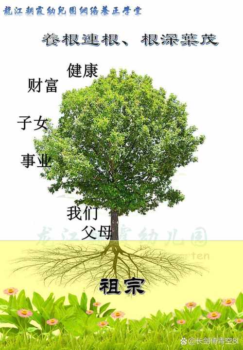 梦见父母砍树预示着什么吉凶？周公解梦如何解读？