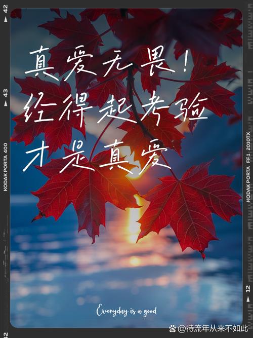 什么是超越物质与时间的，能抵御一切考验的，真正理想主义者的爱情？