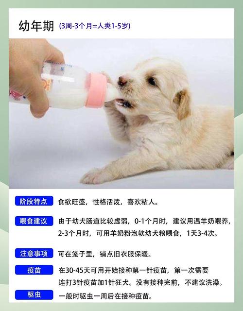 属狗的人2023年出生，那今年他们多少岁了？