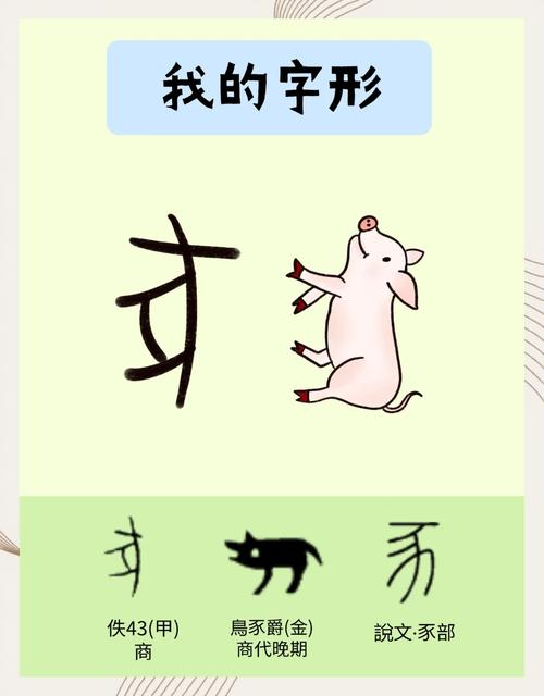 肉字代表的生肖是什么？你能告诉我正确的答案吗？
