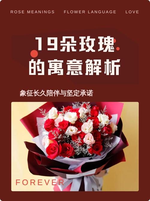 19朵玫瑰花代表什么含义或象征？