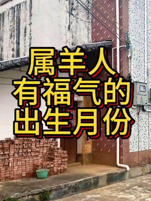 属羊人哪个月份出生能获得最佳福禄？