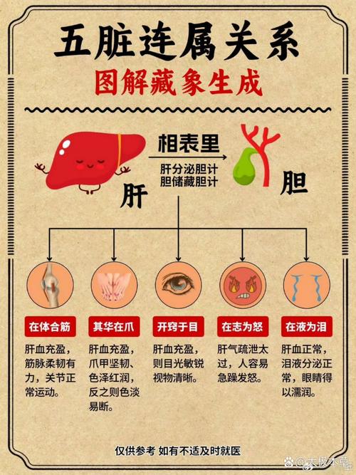 脾和脾胃分别对应哪种颜色的详细解释是什么？
