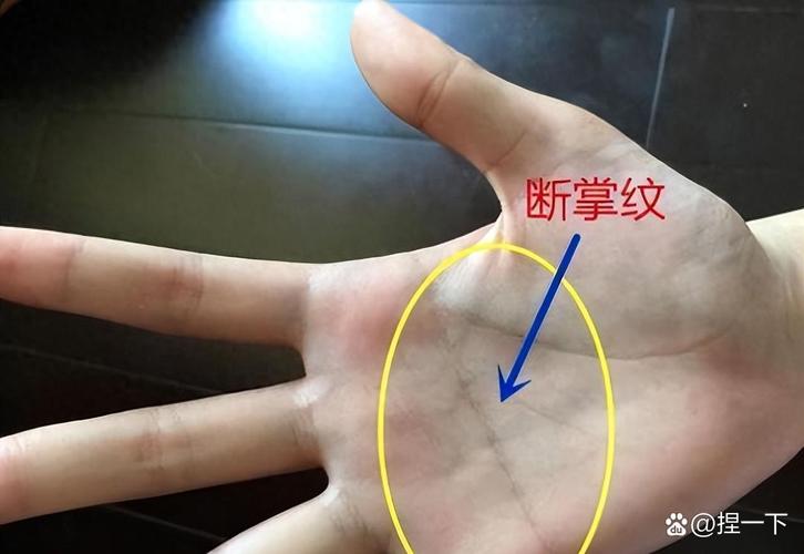 女人左手断掌是富贵的象征吗？断掌纹究竟有何特殊含义？