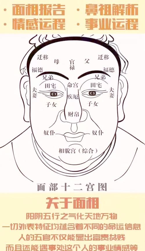 额头面相图解，哪种额头蕞好堪？