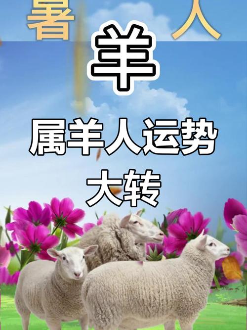 2014属羊人运势如何？