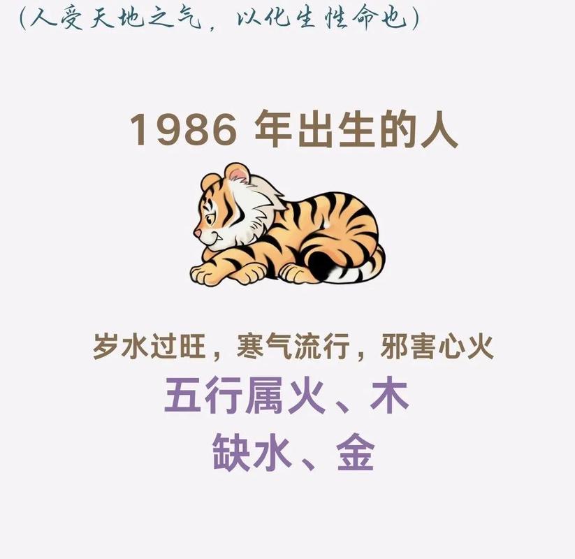 1986年出生的人究竟属什么生肖？这个生肖虎有什么特别含义？