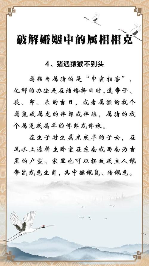 属猴和属猪的在一起，他们的合财运势如何？