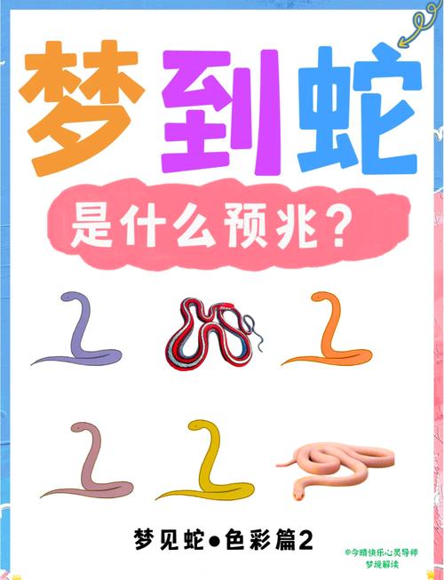 孕妇梦见形形色色的蛇预示着什么含义？