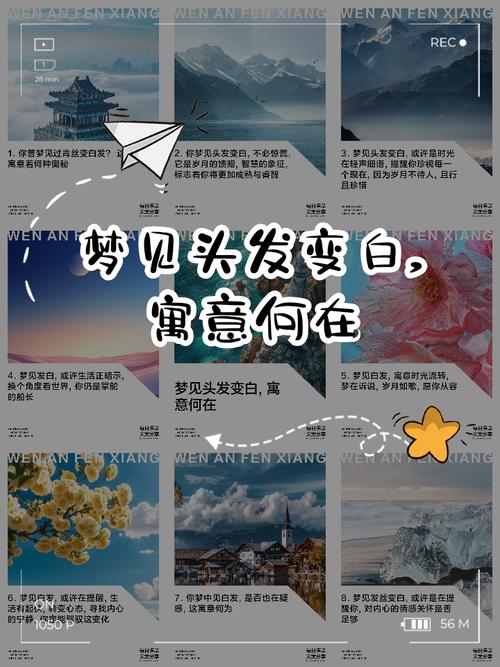 梦见自己有白头发预示着什么？周公解梦中的寓意是什么？