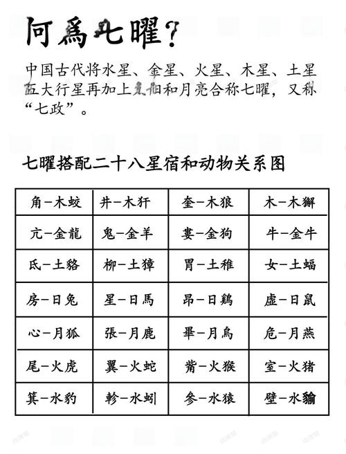 天星风水实例详解中，如何理解天星风水二十八宿的具体应用？