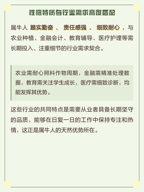 属牛的人最适合从事什么职业或活动？