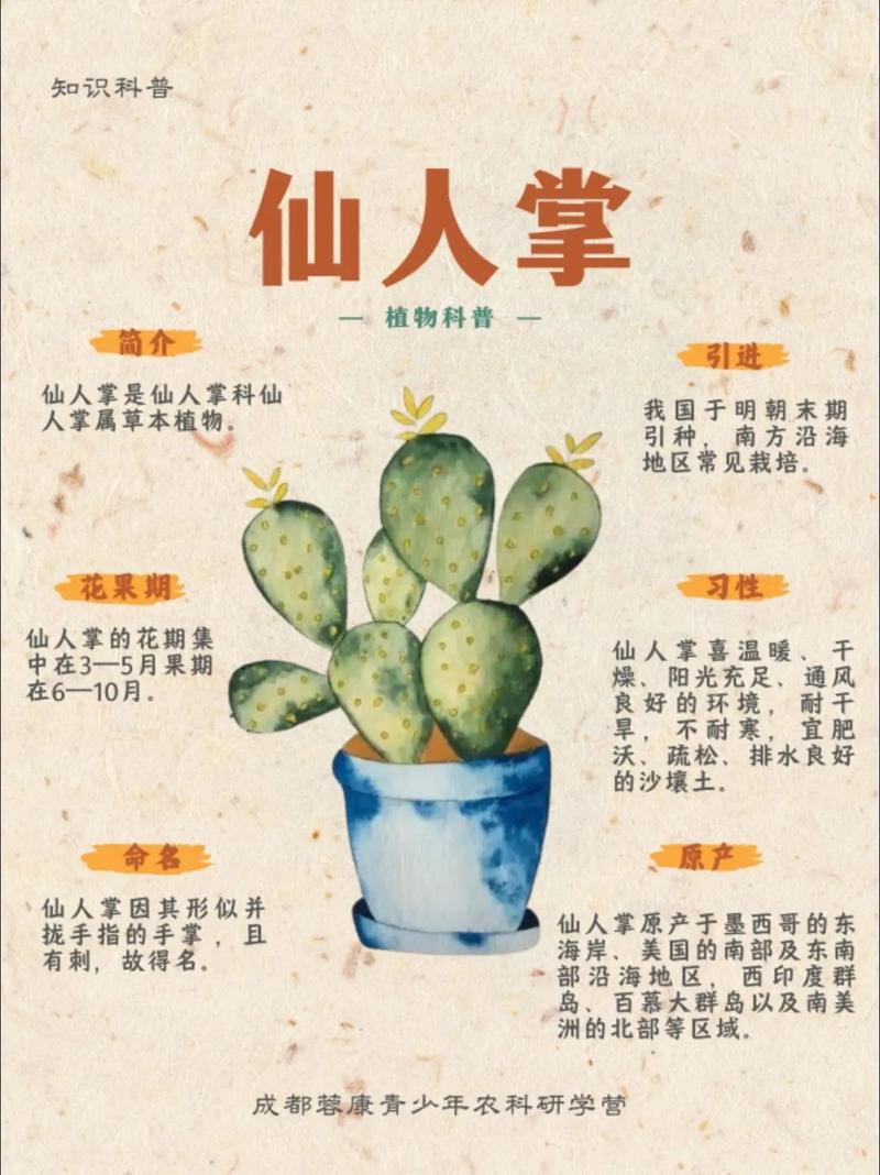 为什么说仙人掌不宜带回家中摆放？