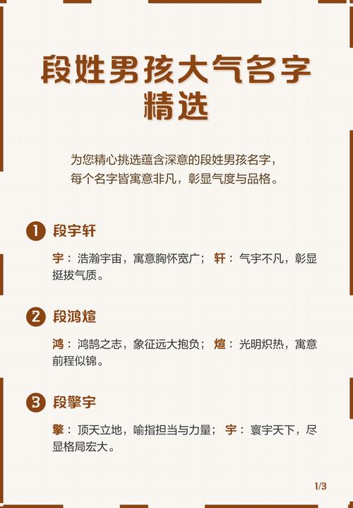 丑时猪年出生的段姓男孩，有哪些好听的起名建议？