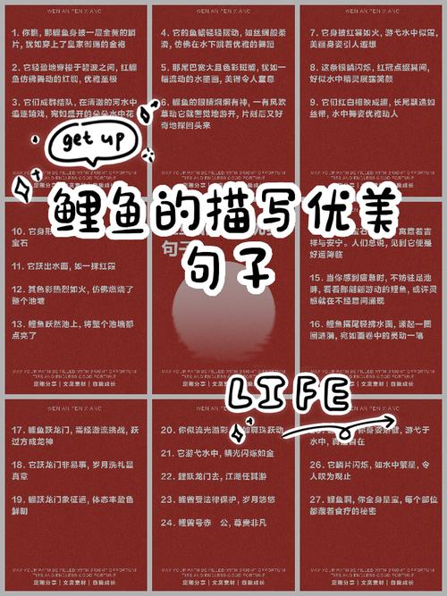 鱼跃龙门，年年有余这样的吉祥语，能否为一个长尾，表达对美好生活的祝愿？