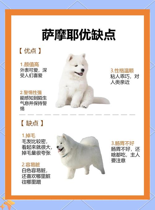 有没有什么好名字适合白羊座出生的狗狗呢？