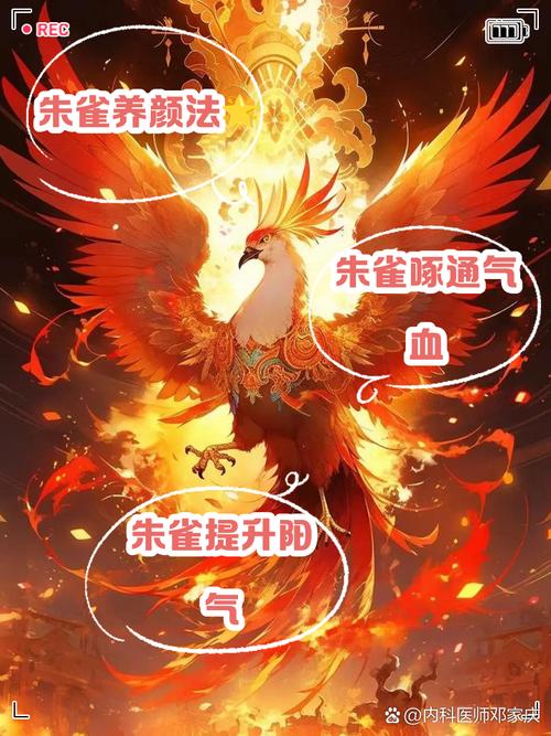 朱雀主要掌管什么异兽传记中记载了哪些神秘职责？