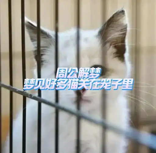 梦见自己被关在笼子里是什么征兆？