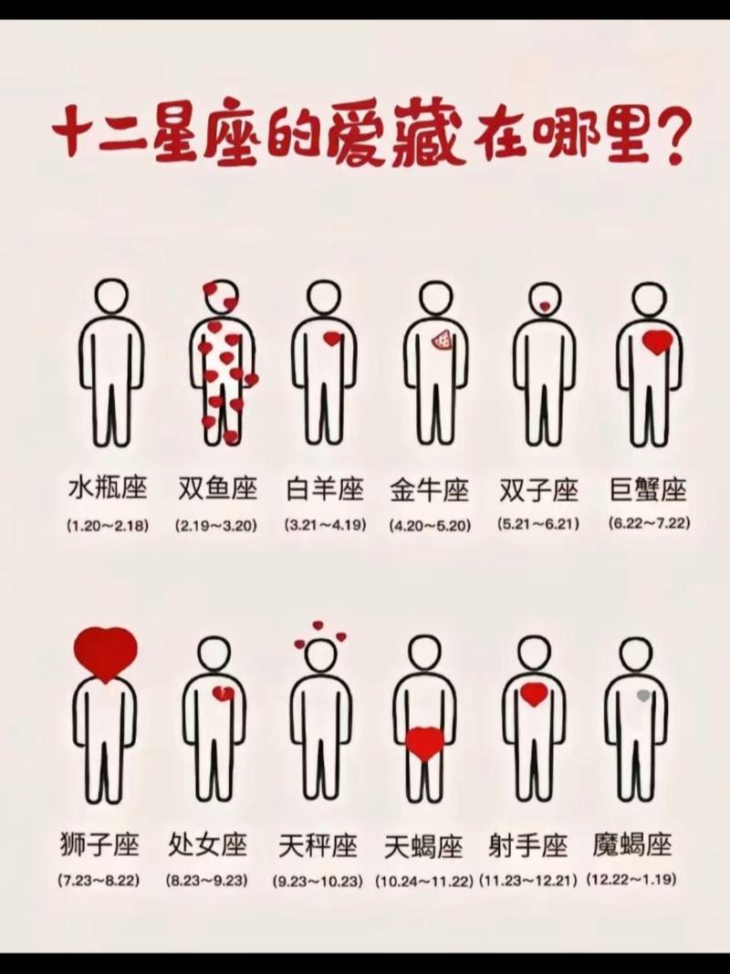 有哪些星座属于12星座？