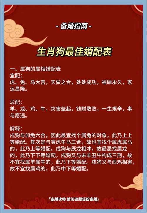 1994年属狗的男性蕞佳配偶是哪个属相？
