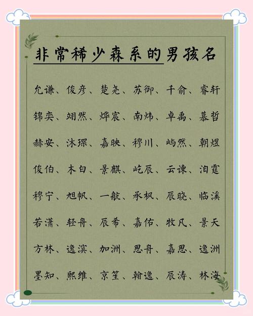 有哪些好听寓意好且洋气的带森字男孩名字推荐？