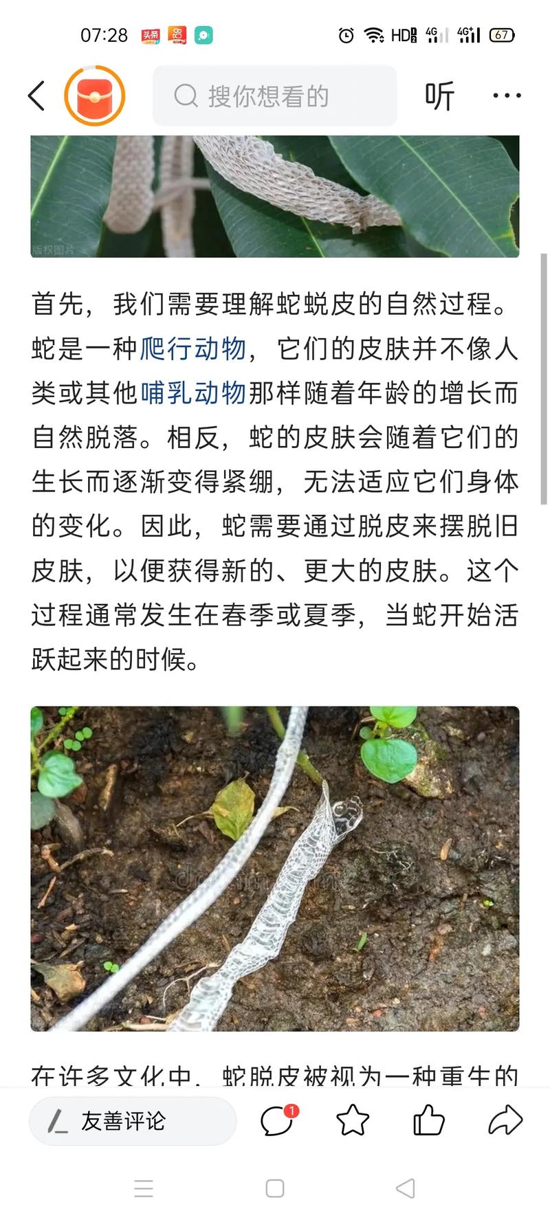 孕妇梦见黑蛇脱皮是什么预兆或含义？