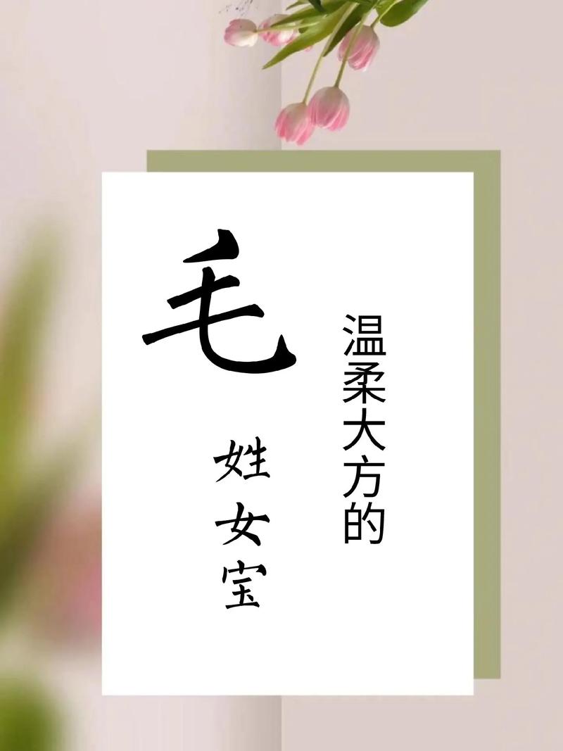 毛姓女孩起名时有没有什么既高雅又高贵的名字推荐呢？