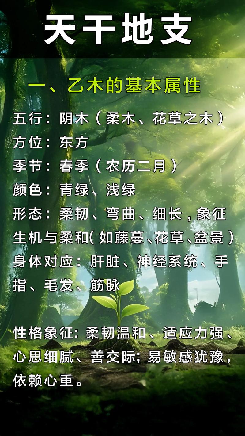 乙木的万物类象具体包括哪些？