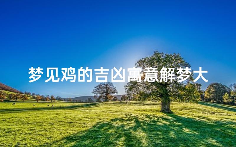 梦见成群结队的鸡预示着什么吉凶？
