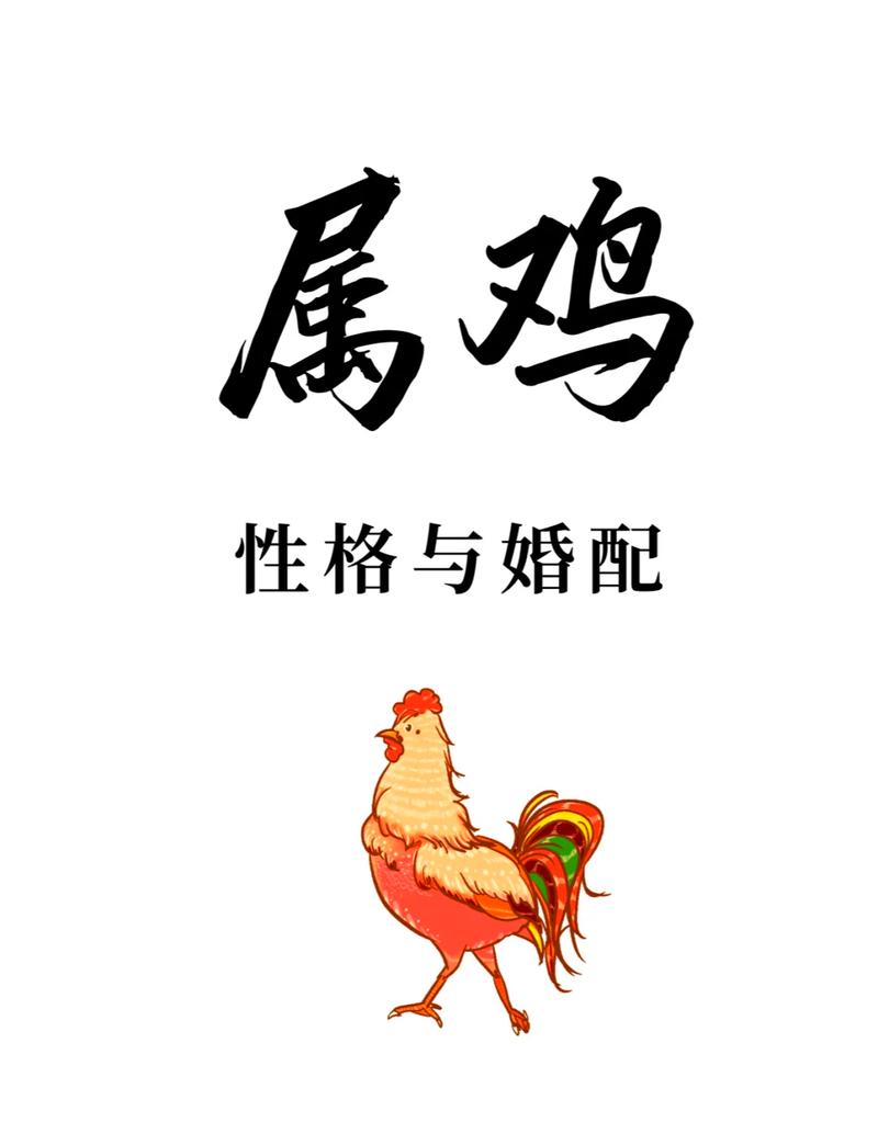 属鸡的人与属鸡的人合作做生意，性格和合不合？