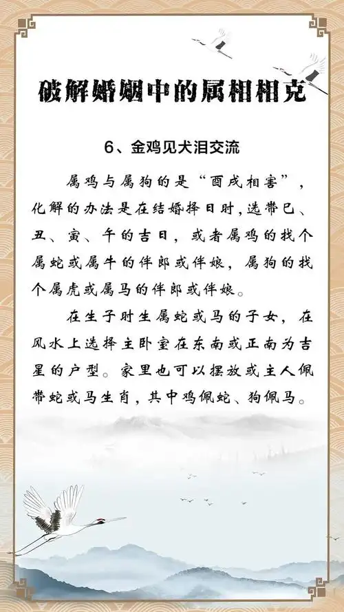 属狗女和属鸡男结婚会怎样？他们的婚姻运势如何？