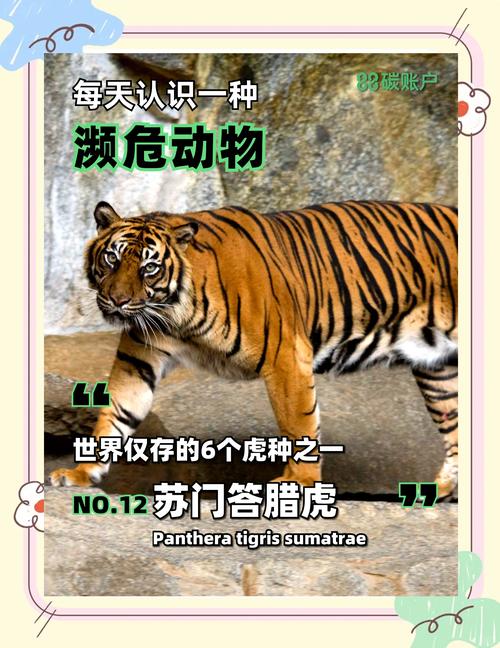 哪个生肖动物在危难时刻显得临危不惧？