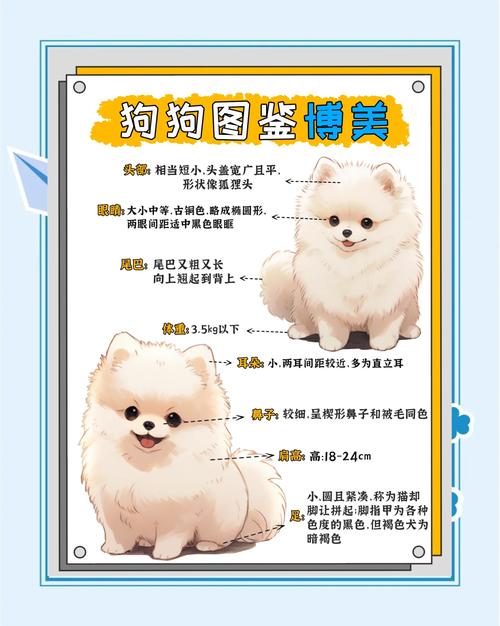 什么样的狗狗性格特点适合我养？