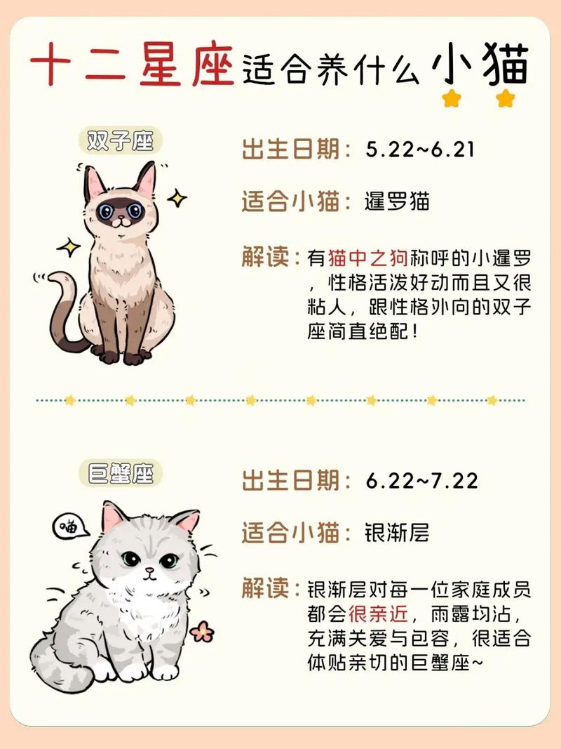 猫咪的十二星座中，生女孩的猫属于哪个星座呢？