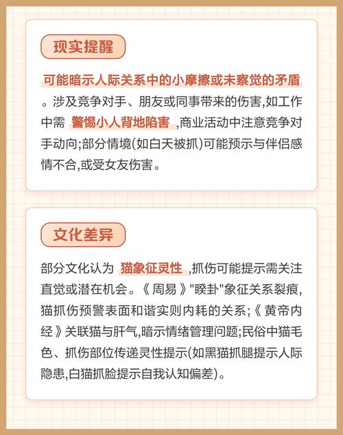 梦见自己被猫抓伤，这梦境究竟预示着什么含义？