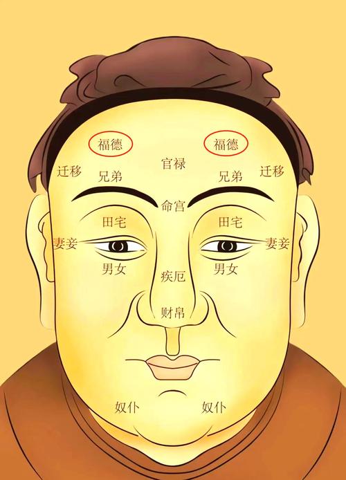 面相中福德宫的准确部位在哪里？