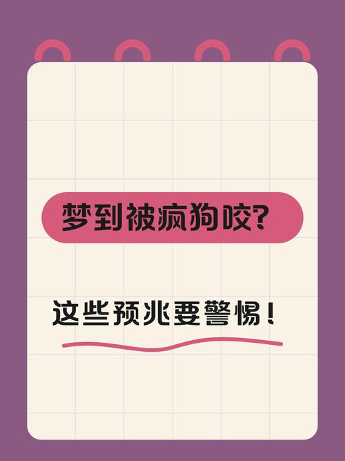 梦见狗凶猛攻击我咬我是什么不祥的兆头？