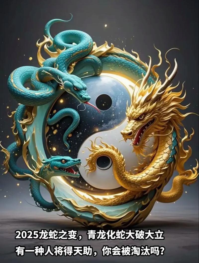 属龙人和属蛇人合作会有怎样的奇妙化学反应？