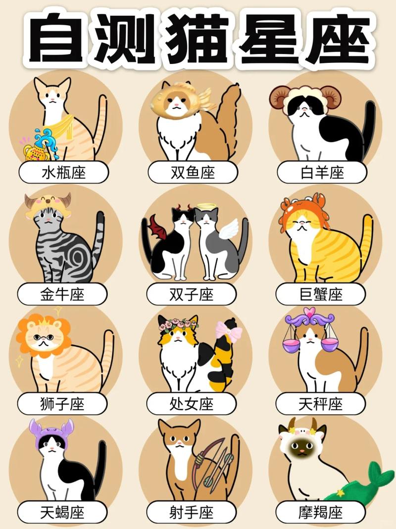 十二星座中，每个星座都有对应的专属猫咪吗？