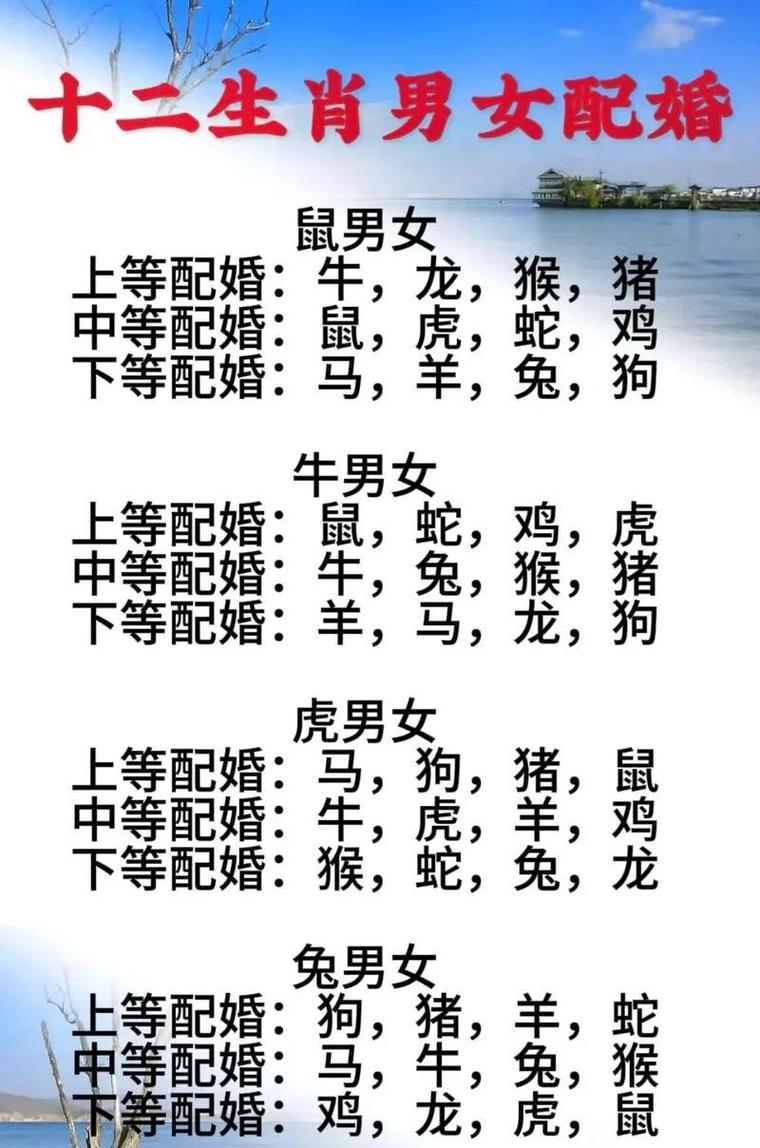 1972年属鼠男性最佳命中注定情人属什么生肖？