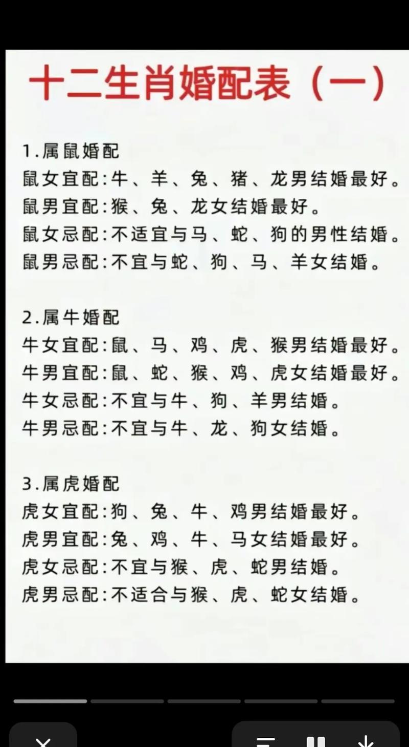 属鼠的与哪些属相最配或相克，能否组成和谐的？