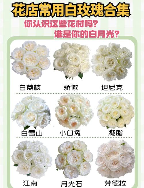 白玫瑰的花语寓意和象征具体是什么？