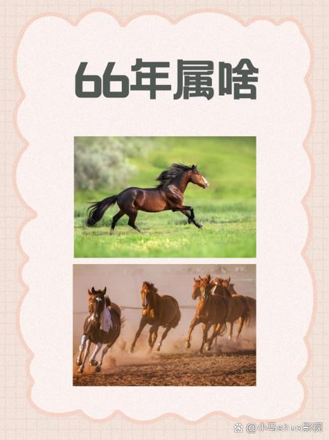 1966年属马的人是水命还是火命，五行命理中丙午年属马人的命格究竟如何？
