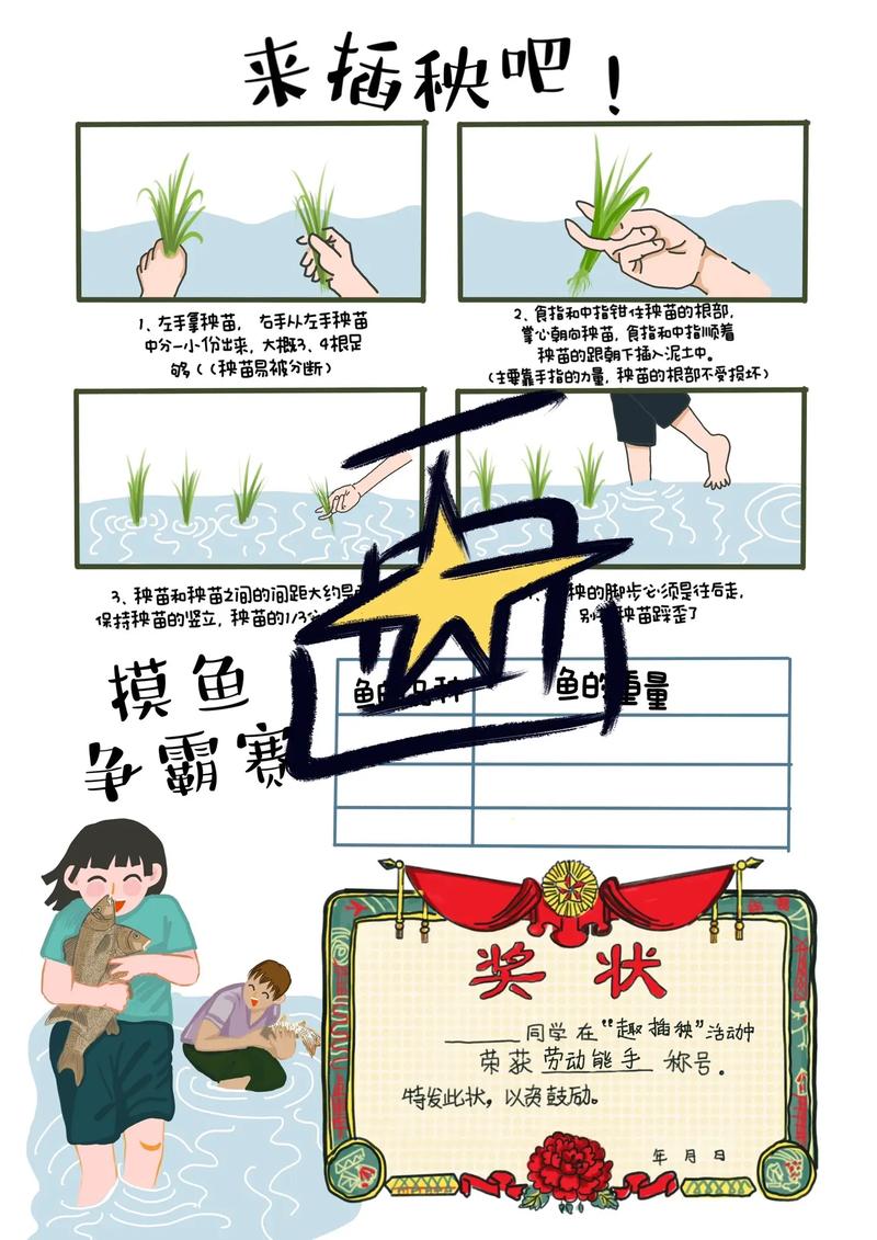 落秧通常在哪个具体的月份进行，而插秧又是哪个季节的活动呢？