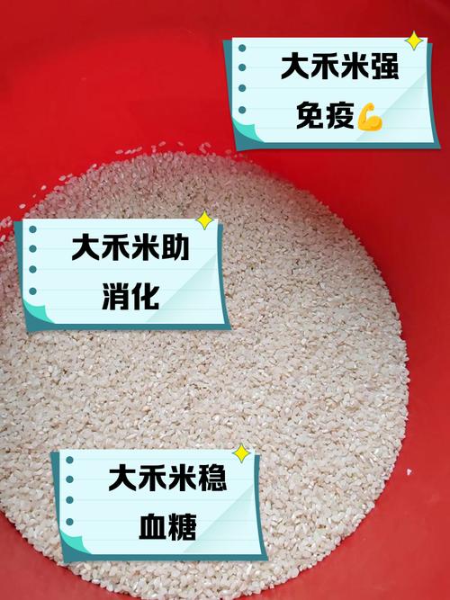 禾米作为环保运动象征，其寓意是什么？
